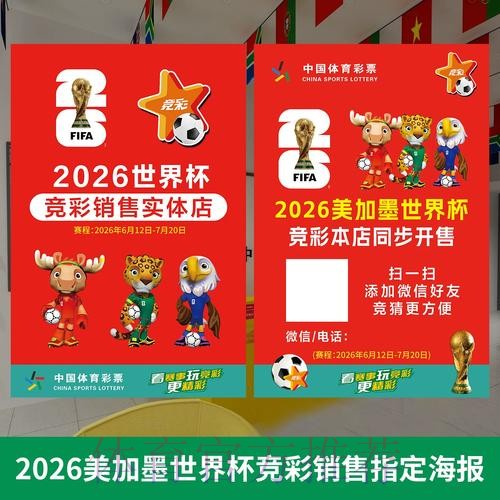 世界杯投注全攻略：构建持久稳定的全站策略
