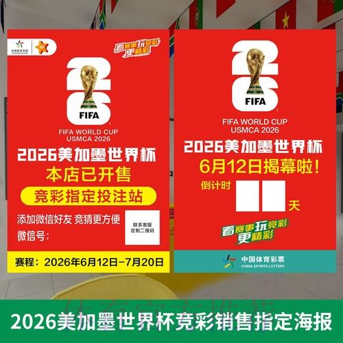 世界杯投注全攻略：构建持久稳定的全站策略